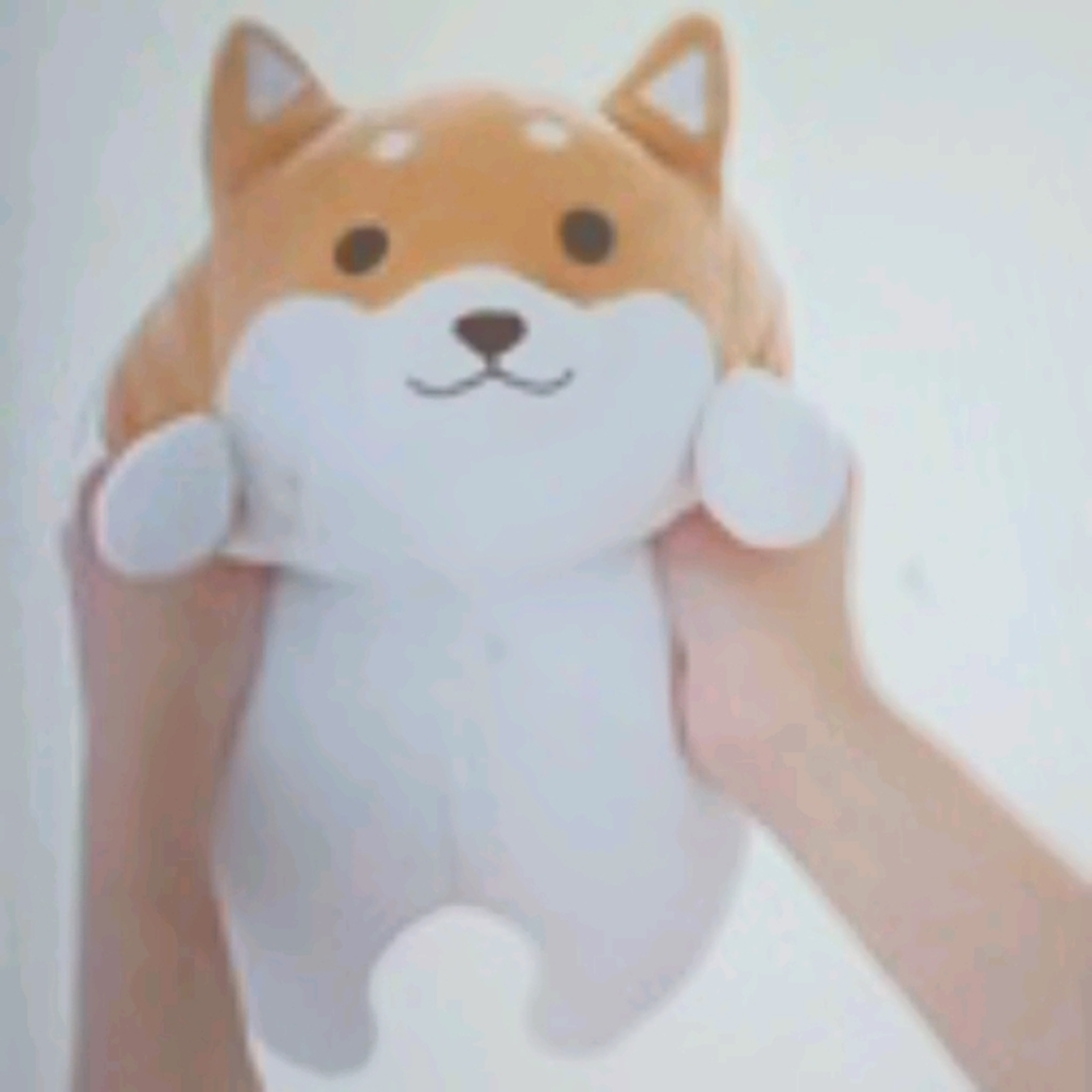 shibu